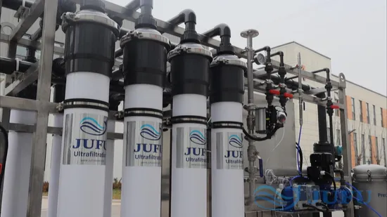 Estação de tratamento de água por ultrafiltração de 10 tph Máquina de purificação de água UF Sistema de filtragem de água